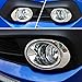 Rqing For Honda Civic 10th 2016 2017 2018 Chrome ABS Front Fog Light Ring Cover Trims
