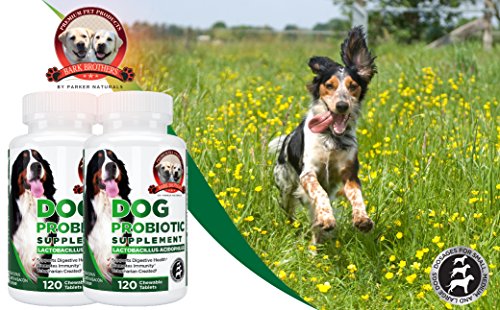 Bark Brothers Probiotic Supplement for Dogs For Improved Digestion & Better Health. Contains Premium Lactobacillus Acidophilus, Glucosamine, Chondroitin, Lipase. 120 Delicious Liver & Bacon Chewables