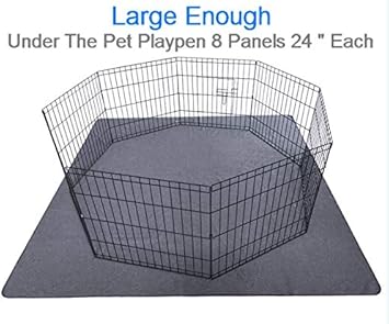 blue buffalo wet dog food puppy