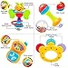 Zenteck Multi-Sensory BPA-Free Baby Rattles Teethers & Shakers Essential Set with Storage Bin [10-Piece] | Baby-Safe, Non-Toxic, Multifunctional Developmental Set for Newborns & Babies
