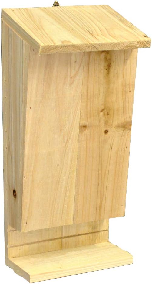 Caja nido para murciélagos con perca de aterrizaje: Amazon.es: Jardín