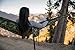 Wildhorn Outpost Double/Single Portable Camping Hammock with Cinch Buckle Tree Straps