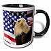 3dRose mug_21650_4 Bald Eagle and American Flag - Two Tone Black Mug, Multicolor, 11 oz