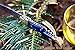 DKC Knives (46 6/18) DKC-783 Ocean Laguiole Damascus Steel Folding Pocket Knife 4 oz 8.5