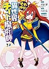 それゆけ! 異世界チート魔術師 第2巻