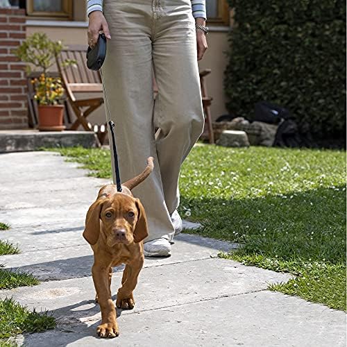 Correa retráctil para Perros Mediano Grandes Flippy One Cord M, Cuerda Extensible 5 m, MAX 20 kg, Negro