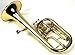 HAICHENWEI Intermediate Monel Pistons Alto Horn w/Case & Mouthpiece-Gold Lacquer Finish