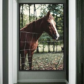 signwin Framed Canvas Wall Art Horse Animals Dramatic...