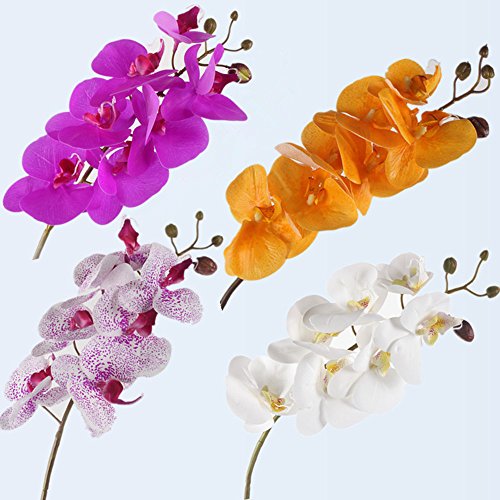 image for JAROWN 4pcs 30