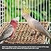 Wieppo Bird-Foraging-Toy-Perch Net – Woven Seagrass Mat Hammock Bird Toy, Hanging Hook Wall Bird Toys for Cockatoo,Cockatiels-Conure-Budgie-Parakeet-Lovebird-Parrotlets, Jendaythumb 2