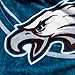 Northwest NFL Philadelphia Eagles Unisex-Adult Raschel Throw Blanket, 50