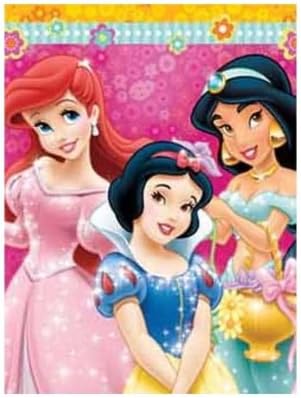 Princess Magica Ariel Snow White Jasmine Twin Plush Super Soft Blanket