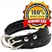 Logical Leather Padded Dog Collar - Best Full Grain Heavy Duty Genuine Leather Collar - Black - Medium