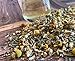 Calming Herbal Tea - Sleep Better - Relax with Exotic Herbs- Reduce Anxiety Stress Bloating - Helps with inflammation -Ginger Peppermint Chamomile Lavender - Loose Leaf Blend - Caffeine Free 3 Oz