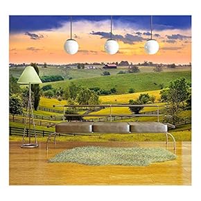 Evening Scene in Kentucky - Removable Wall Mural | Self-Adhesive Large Wallpaper - 66x96 inches