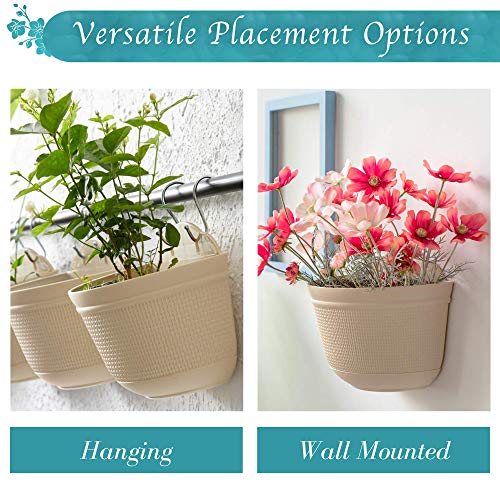Amazing Creation Wall and Railing Hanging Planters for Indoor Plants