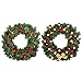 BBTO 3 Pieces Wire Wreath Frame Christmas Metal Round Wreath Form Holiday Wire Ring for Floral Arrangements Craft DIY (Green, 14 Inch)