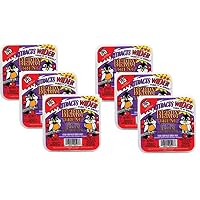 C & S 018222005277 (6 Pack) C and S Products Berry Treat Suet Cake for Wild Birds