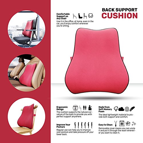 Glacial Back Support Cushion - Memory Foam Lumbar Pillow for Lower Back Pain Relief - Use on Any Chair in The Office, Home, Car - Ergonomic Design