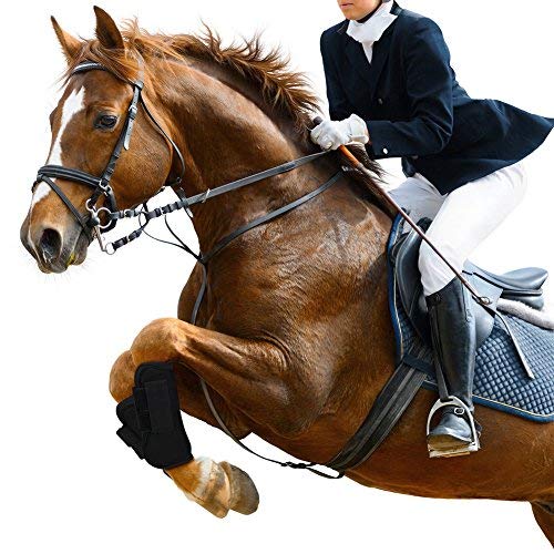 NKTM Open Front Boots Horse Exercise Boots Open Front Jumping Boot - Set of 2 Black - Thumbnail 2