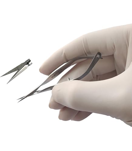 Amazon.com: Micro Vannas Scissors 3.25
