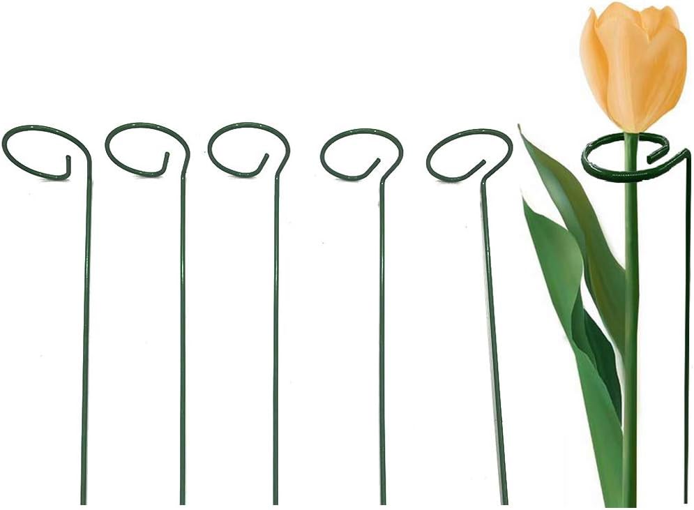 Gobesty Plant Support, Plant Support Sticks Plant Supports for Garden Single Stem Plant Support