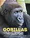 Gorillas Up Close