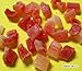 Natural Dried Papaya Chunks, Low Sugar, Unsulphured, 1 lb from Green Bulk