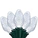 Wintergreen Lighting C7 Cool White LED Christmas Lights, 17 ft String Light Set with 25 Bulbs – Indoor/Outdoor Holiday Decor