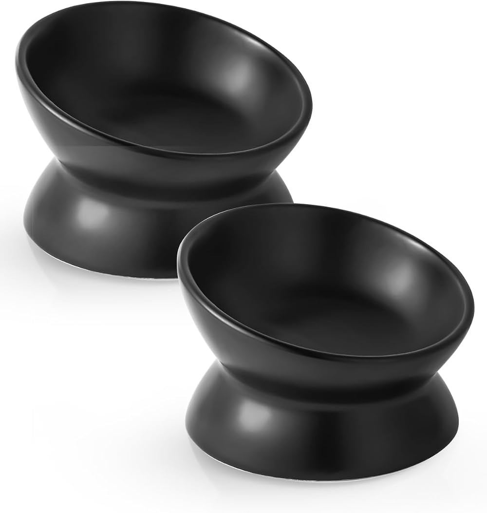 LoeJan Elevated Cat Food Bowl 5 Oz Ceramic Raised Tilted 2 Pack Black