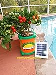 Growmanji Solar Powered Hydroponic System DWC, Complete Gardening Kit, Nutrients, solar powered aerator, germination cubes and tray included. Grow Vegetables,Herbs, Flowers Soil Free.Grow anything!