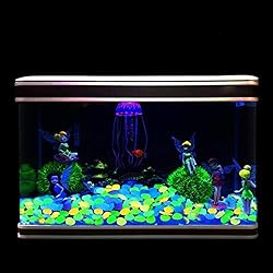 100Pcs Luminous Stones Glow in The Dark Garden