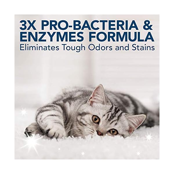 Simple Solution Extreme Cat Stain and Odour Remover | Enzymatic Cleaner with 3X Pro-Bacteria Cleaning Power - 500ml