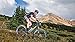 Swiftwick- PERFORMANCE SEVEN | Socks for Cycling | Fast Drying, Lightweight Tall Crew Socks