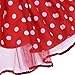 IBTOM CASTLE Toddler Girl Polka Dots Party Fancy Costume Birthday Tutu Dress up Dance Leotard Gymnastic Cosplay Gown w/Ear Headband Red 2-3 Years