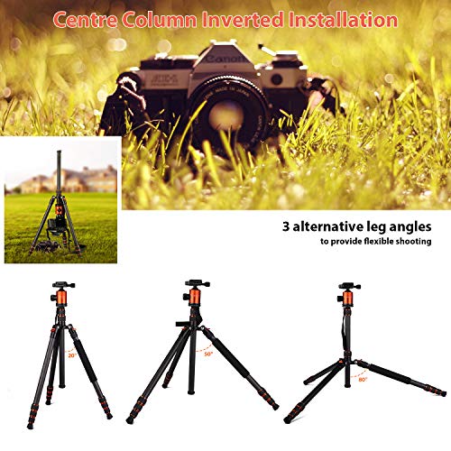 GEEKOTO 79 inches Carbon Fiber Camera Tripod Monopod with 360 Degree