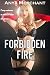 Forbidden Fire (Taboo Erotica) (Burning Harem Book 1)