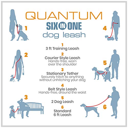 Kurgo 6 in 1 Quantum Leash, Hands Free Leash for Dogs, Running Belt Lead, Crossbody & Waist Belt Style, Reflective… - Image 6