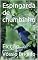 Livro Espingarda de chumbinho: Ficção