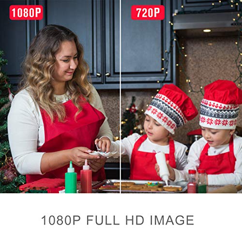 2 Security+Ethernet+Surveillance+Waterproof+Infrared