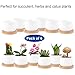 Jyukan White Ceramic Succulent Plant Pots, 2.4 Inch Small Succulent Cactus Planter with Drainage Hole, Bamboo Tray, Set of 6