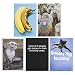 Hallmark Shoebox Funny Birthday Cards Assortment (5 Cards with Envelopes) primary