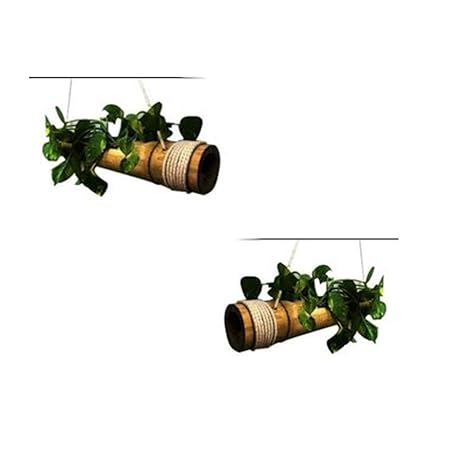 RARE PRODUCTS Bamboo Planter Pot, Set of 2