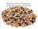GERBS Dried Blueberry Harvest Granola, 32 ounce Bag, Top 14 Food Allergy Free, NON GMO