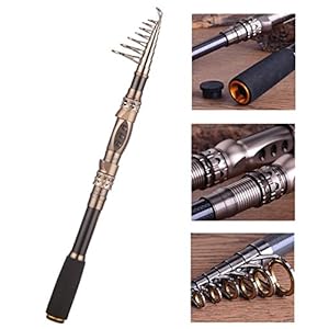 Plusinno® Canne à Pêche Lumière Teleskoprute Portable En Fibre De Carbone, Pour L’eau Salée Et D’eau Douce