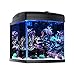 JBJ Aquariums 28 Gallon Nano-Cube 40W WiFi LED Aquarium Canopy Upgrade Kitthumb 3
