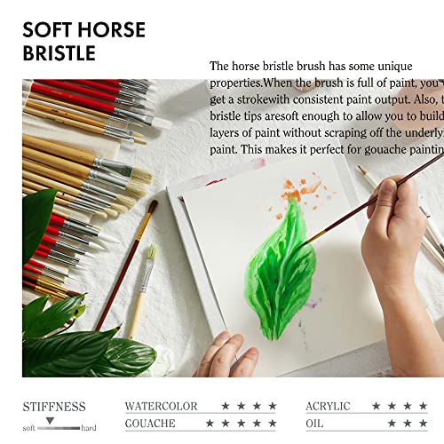 ARTIFY 38 Pieces Paint Brushes, Intermediate Series, Hog Bristle, Horse