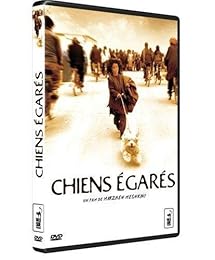 Chiens Égarés