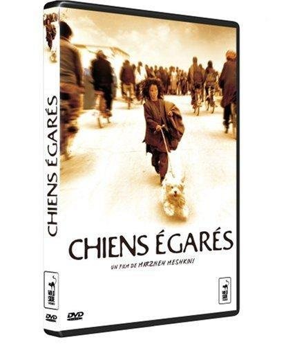 Chiens Égarés