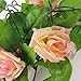 Artificial Silk Rose Flower Ivy Vine Leaf Garland Wedding Party Home Decor (style.1)